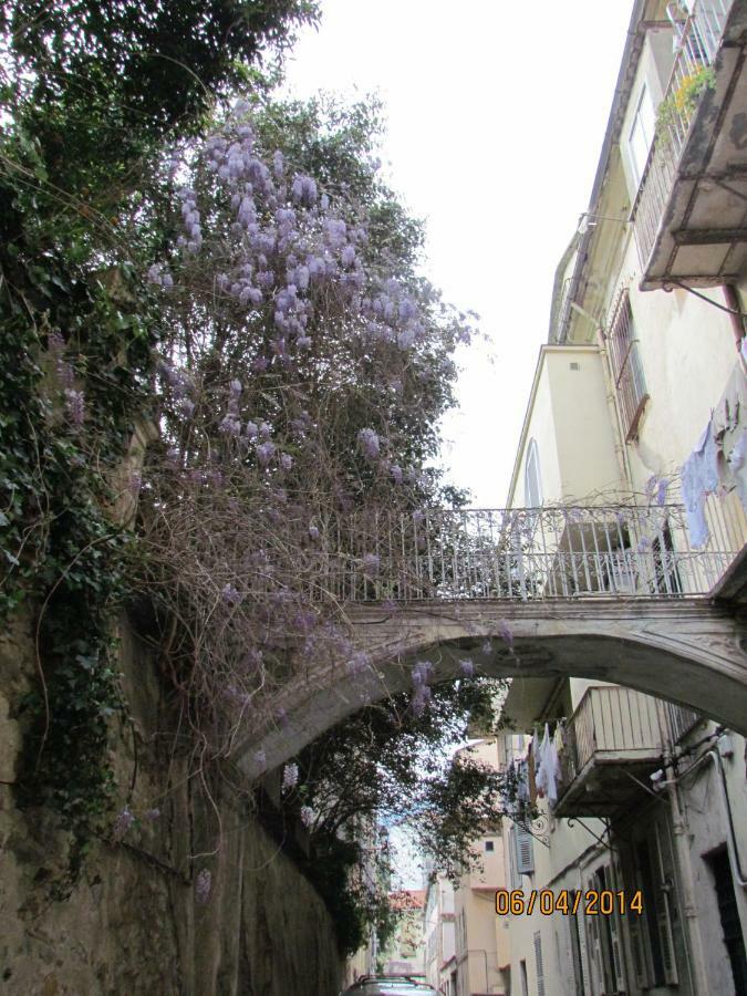 Appartement Bastia Au Pied Du Vieux Port Esterno foto